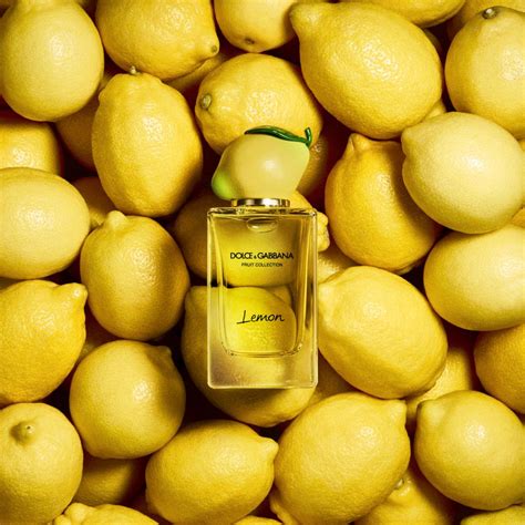 dolce gabbana fruits|dolce and gabbana lemon perfume.